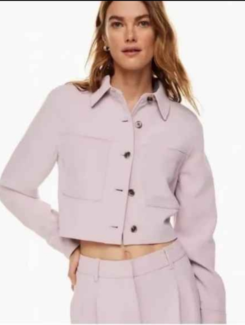 Wilfred/Aritzia Lavender Jacket